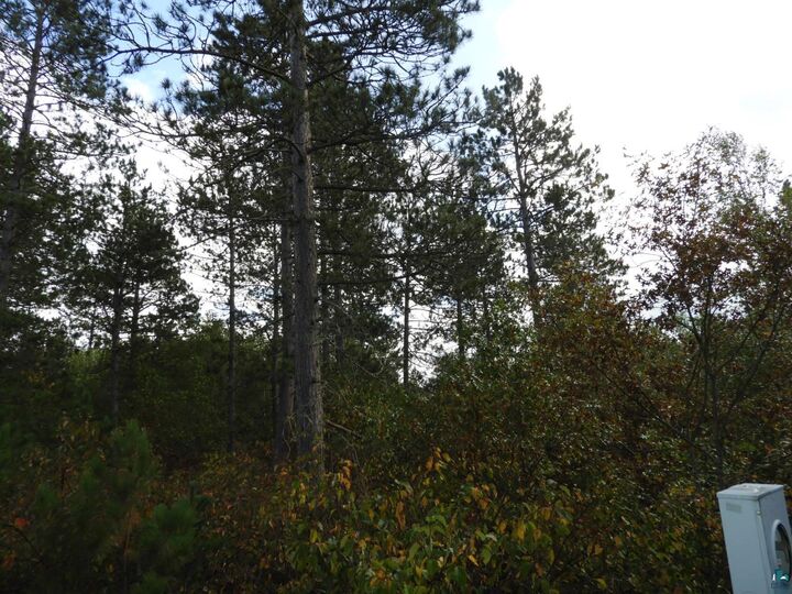 Property Photo:  1765 E Wilderness Ct  WI 54873 