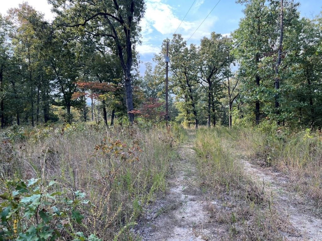Property Photo:  Xx Inca Circle Hardy, Ar 72542  AR 72529 