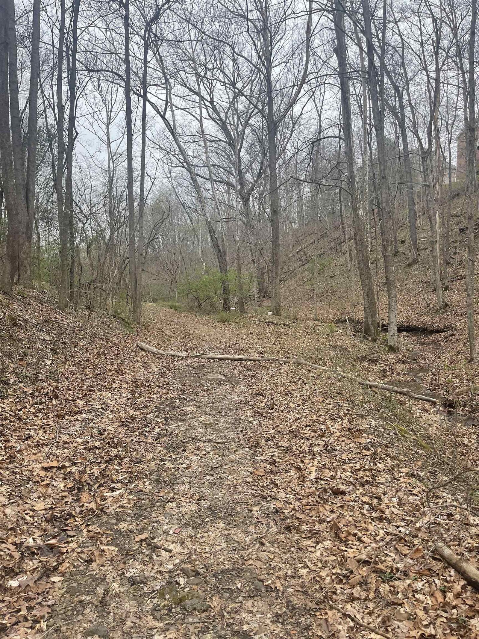 Property Photo:  4891 Spring Road  WV 25705 