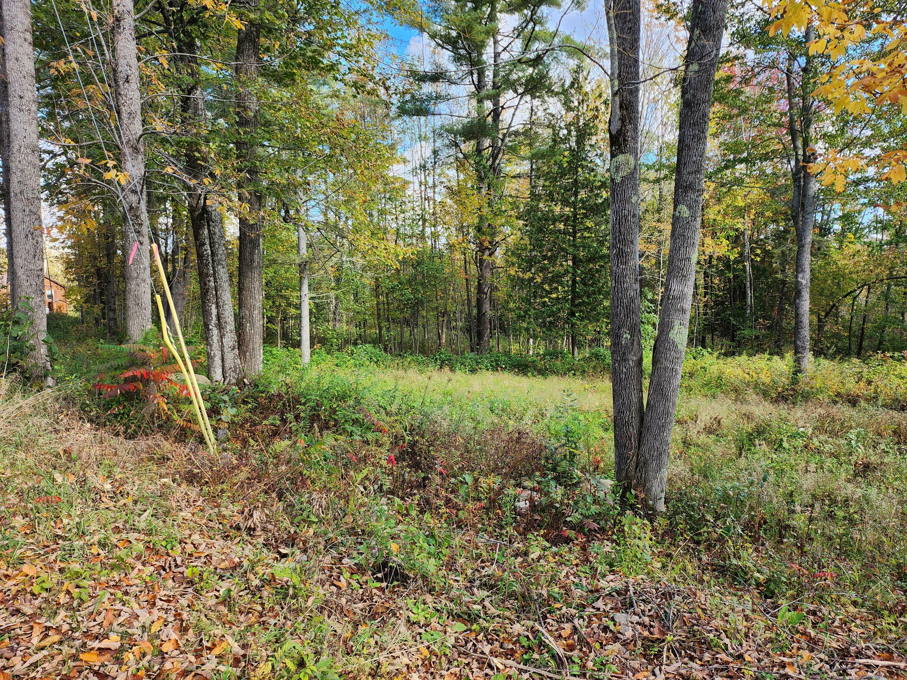 Property Photo:  Lot 24A Rutland Road  ME 04953 