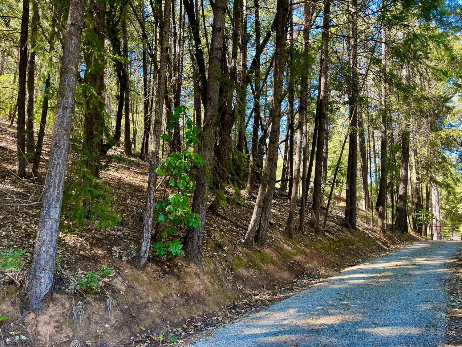 Property Photo:  0 Tree Farm Road  CA 95713 