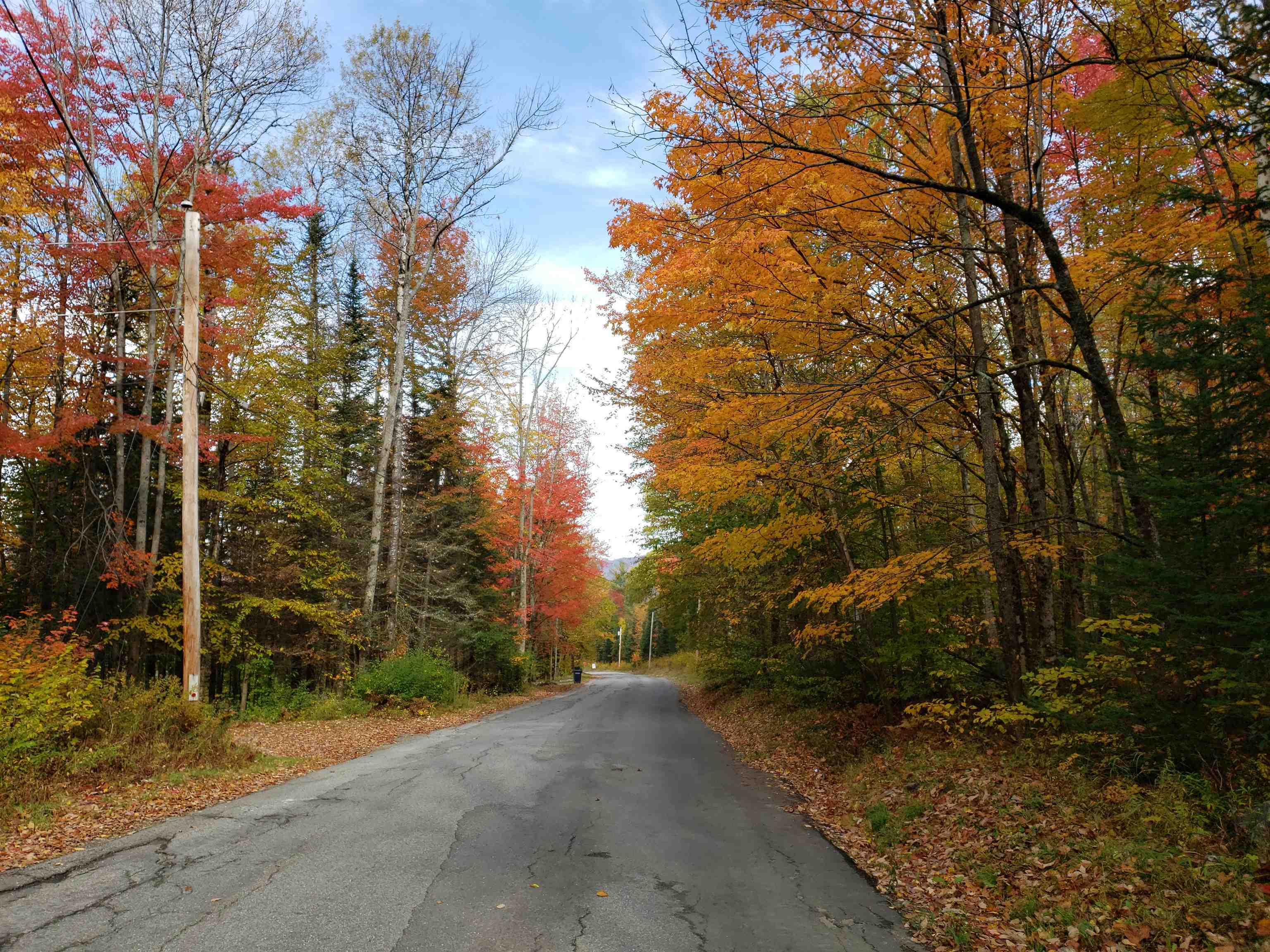 Property Photo:  Lot 39 Route 302/Parker Road  NH 03574 