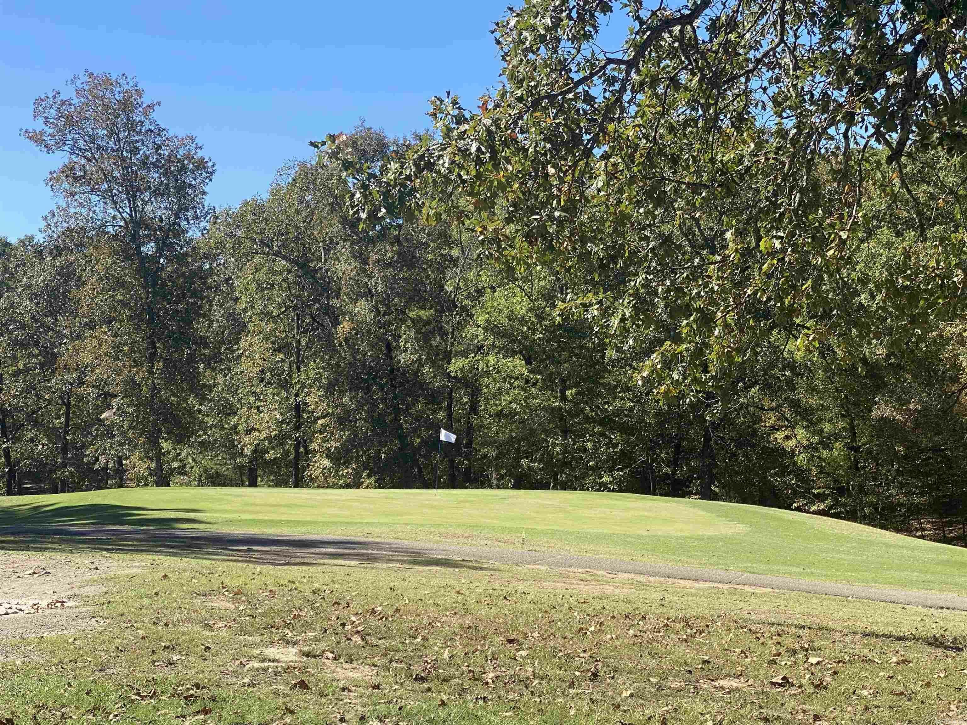 Property Photo:  Lot 3805 Independence Drive  AR 71913 