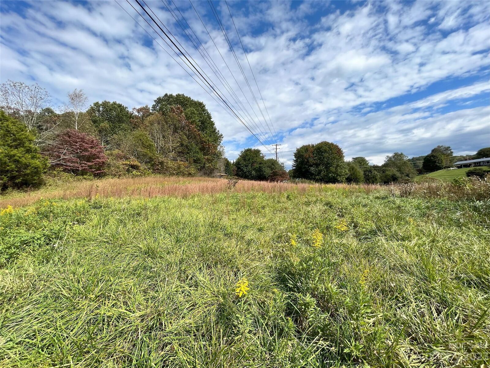 Property Photo:  54 Maple Hill Road  NC 28714 