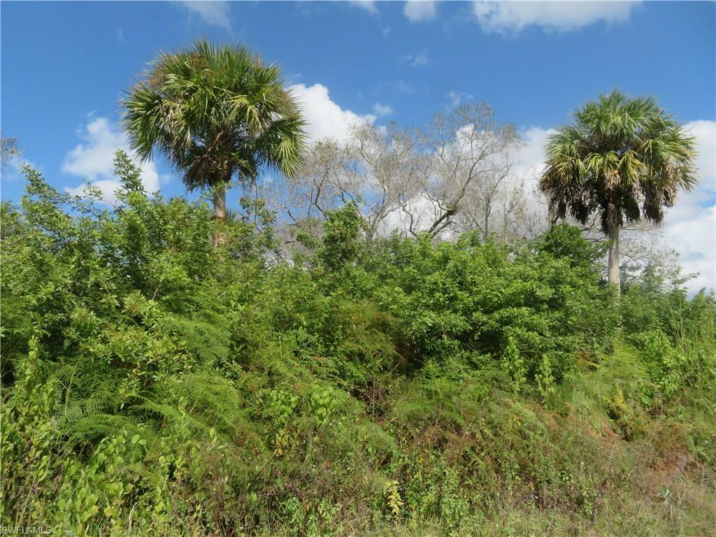 Property Photo:  0000 42nd Ave SE  FL 34117 