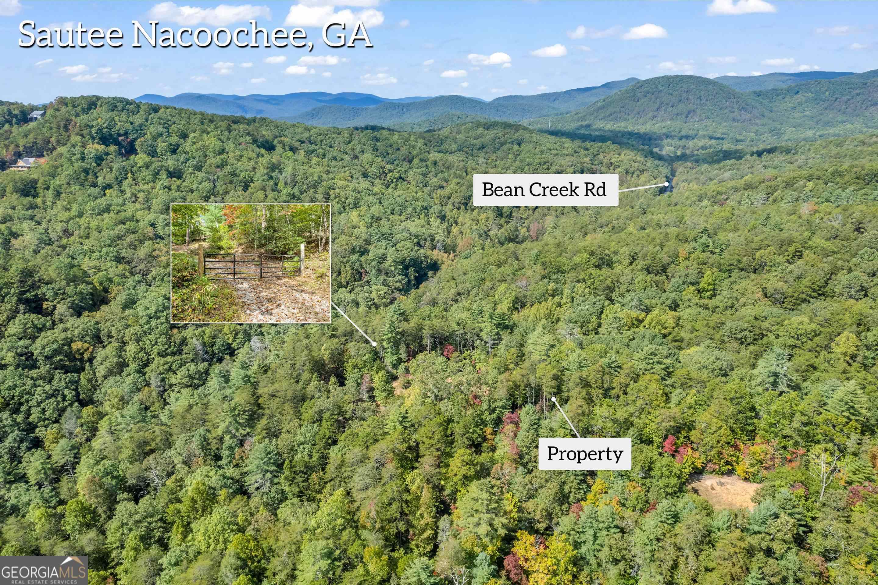 Property Photo:  Lot 1 &Amp 5 Mossy Cove Rd  GA 30571 