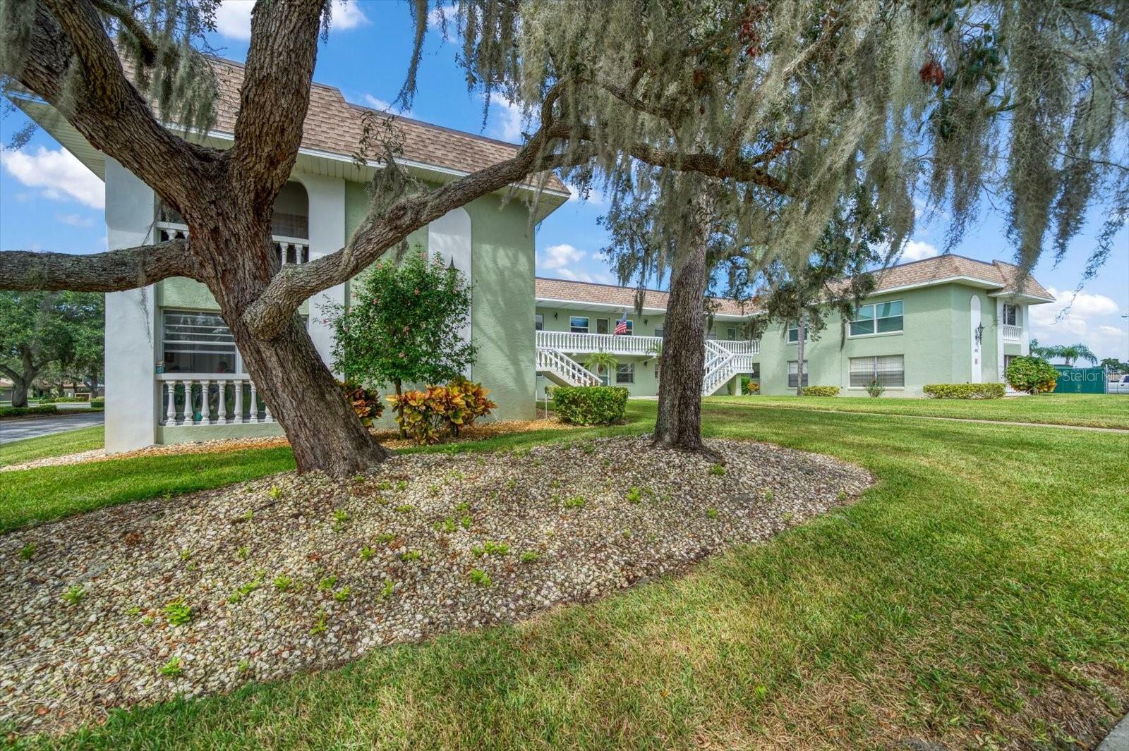 Property Photo:  1250 S Pinellas Avenue 102  FL 34689 