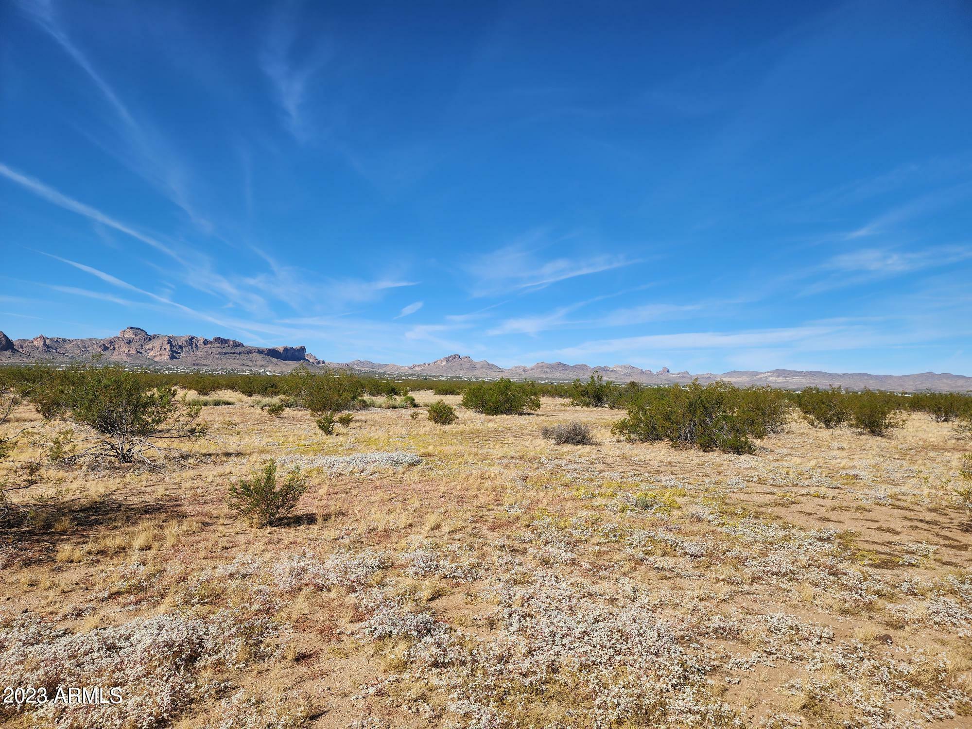 Property Photo:  1661 S Morman Flat Road 6  AZ 86413 