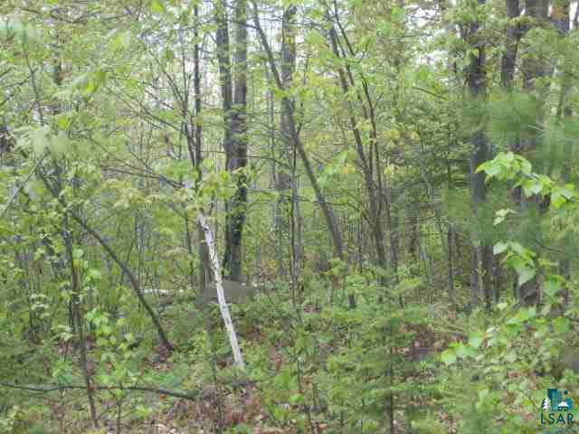 Property Photo: 000 Flag Rd Fr #4474 (Off Flag Road) 54865