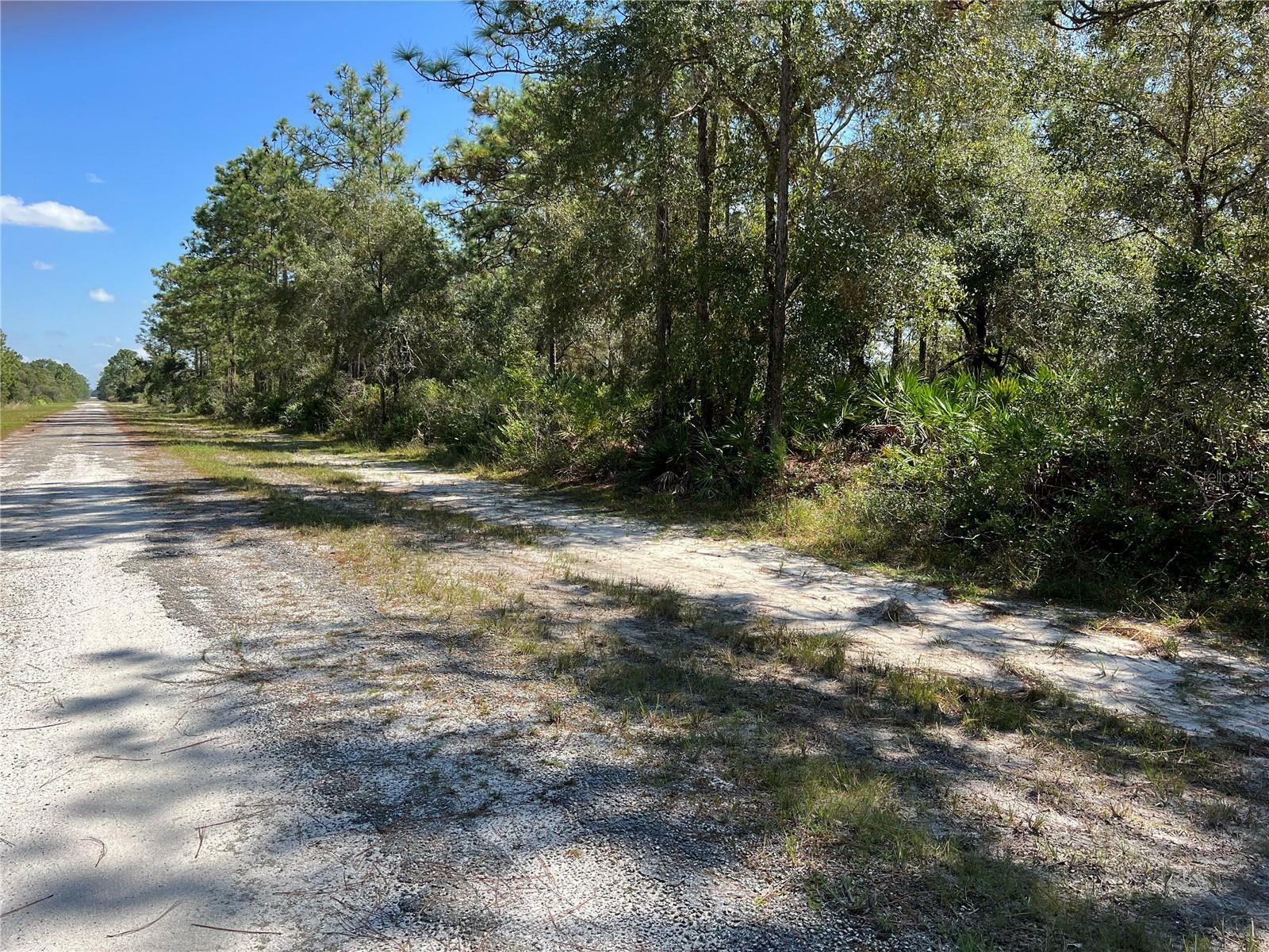 Property Photo:  515 Hibiscus Drive  FL 33855 