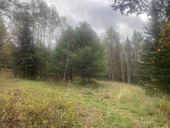 Property Photo:  0 Ralph Road  VT 05036 