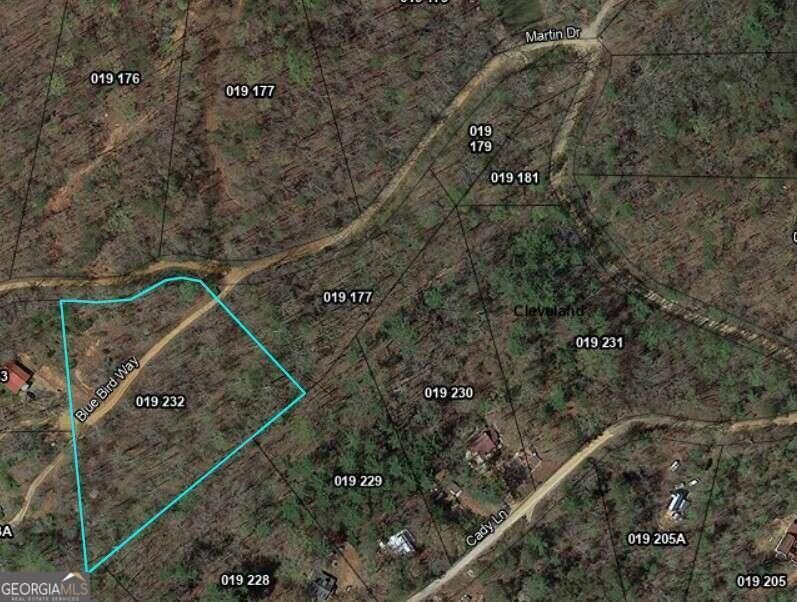 Property Photo:  0 Martin Drive  GA 30528 