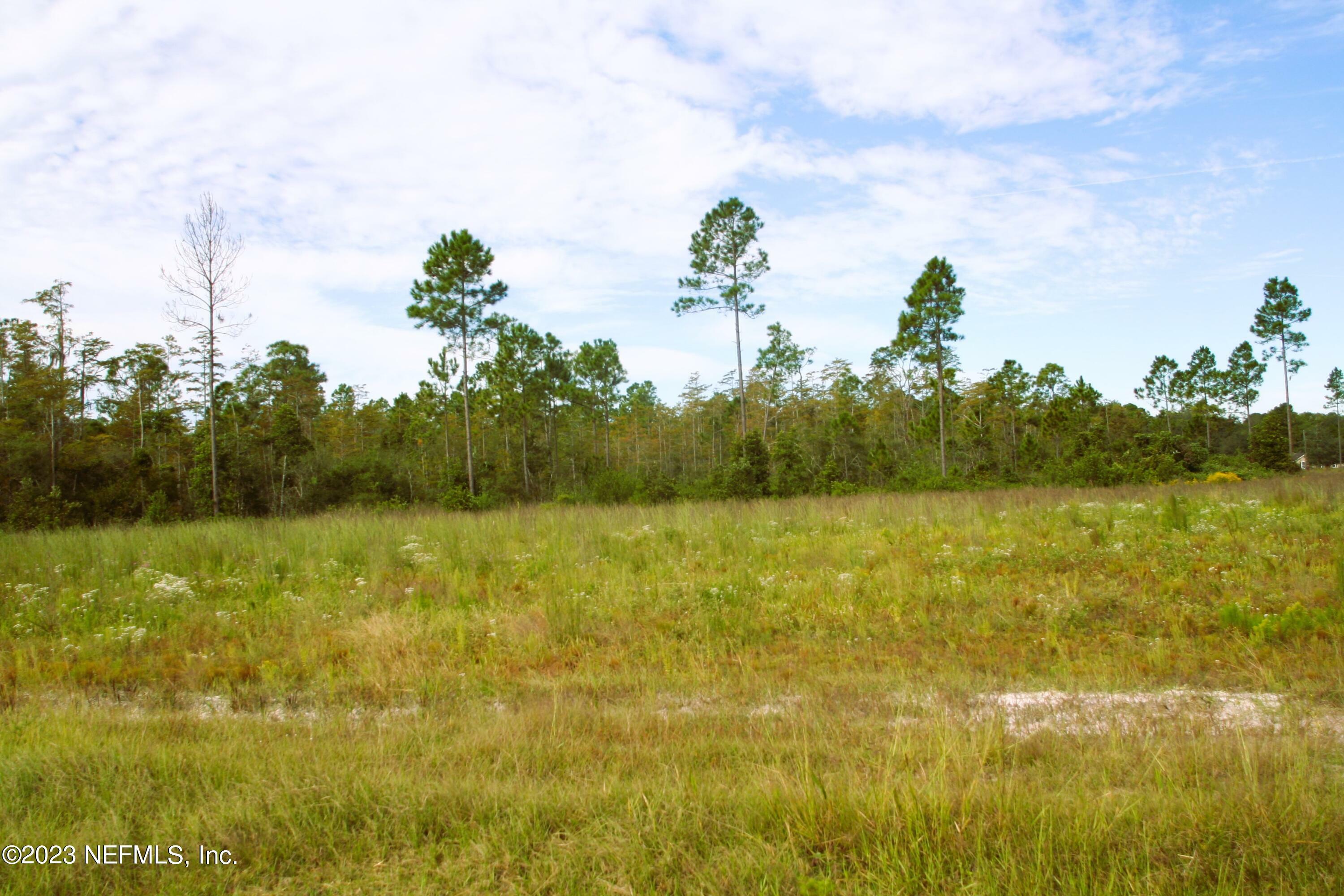 Property Photo:  20998 County Road 121  FL 32046 