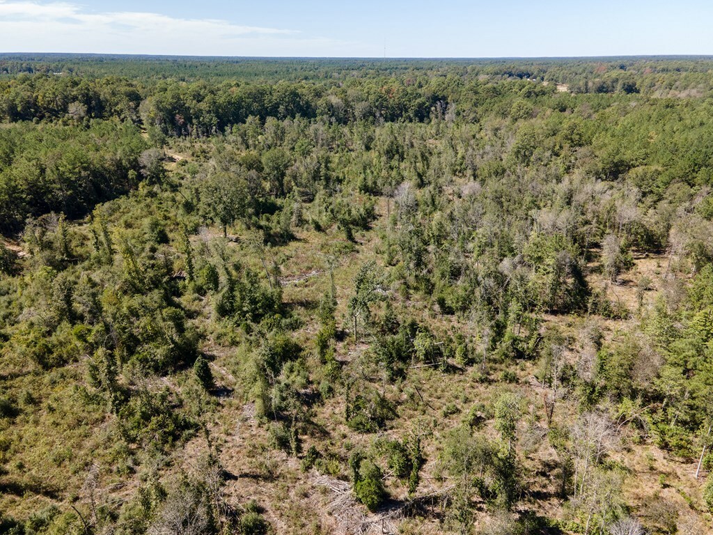 Property Photo:  12493 State Highway 87 South  TX 75956 