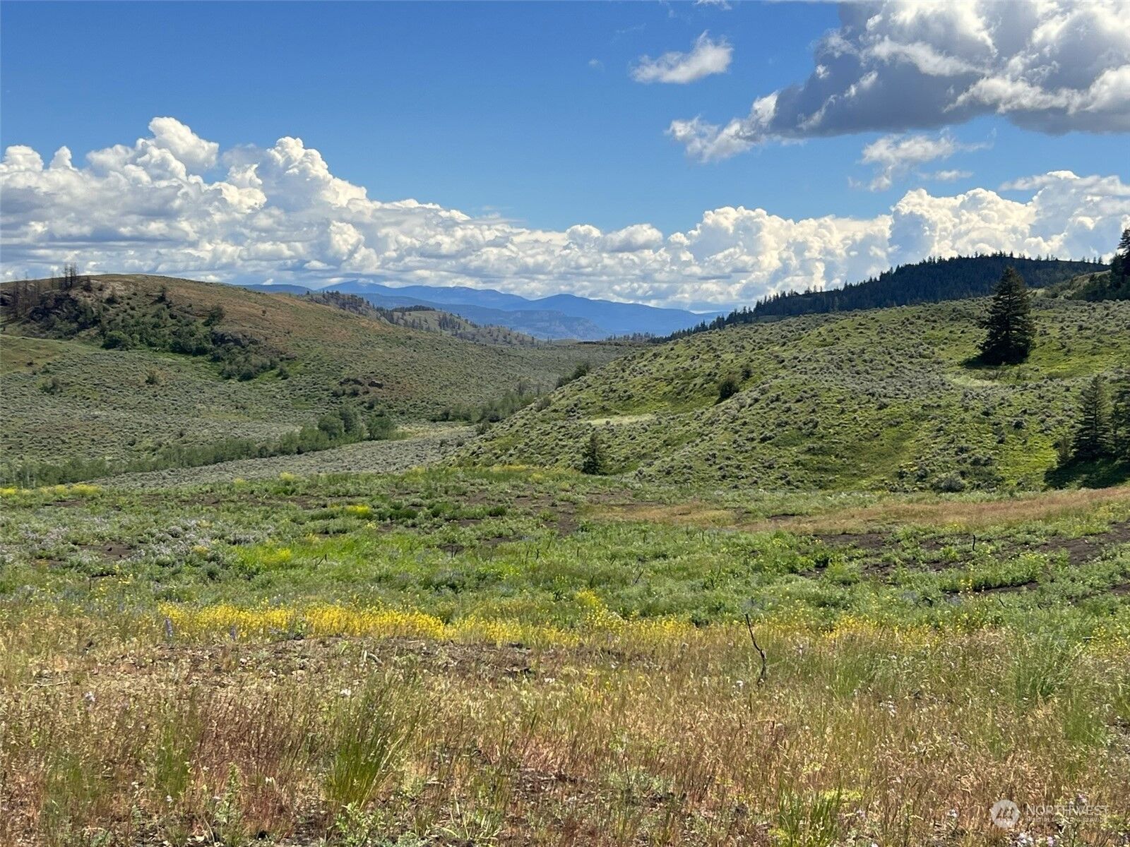 Property Photo:  836 Tbd  Ellemeham Mountain Road  WA 98844 