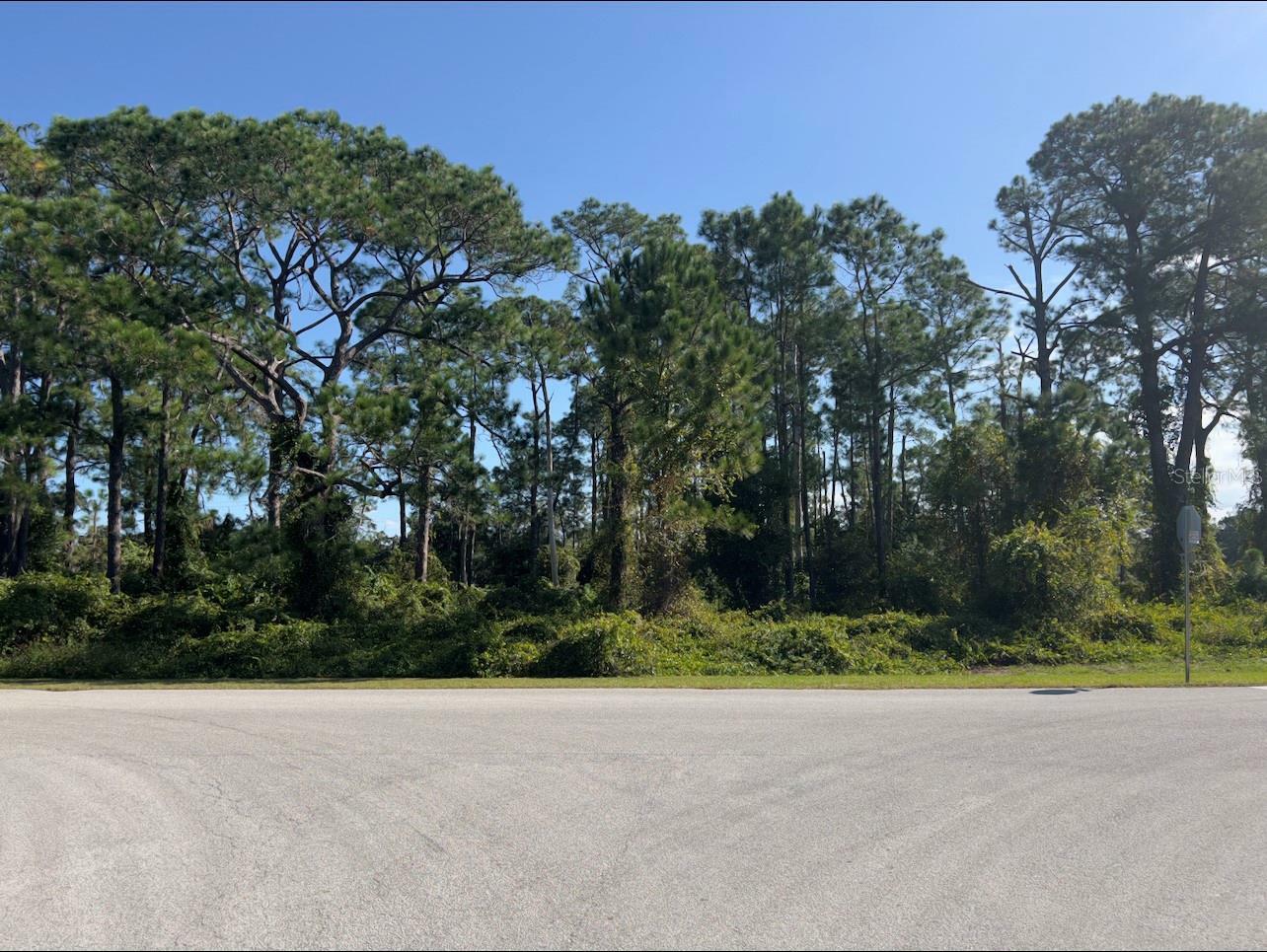 Property Photo:  Arrowtree Boulevard  FL 34715 