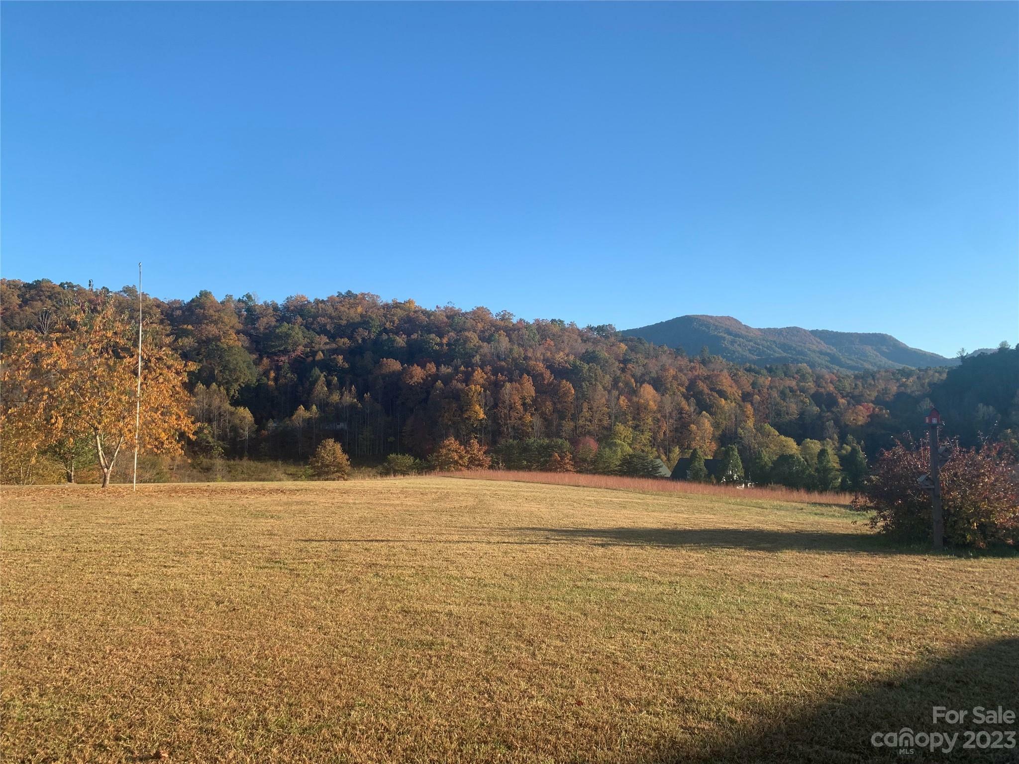 Property Photo: 116 Natures Paradise Road NC 28652