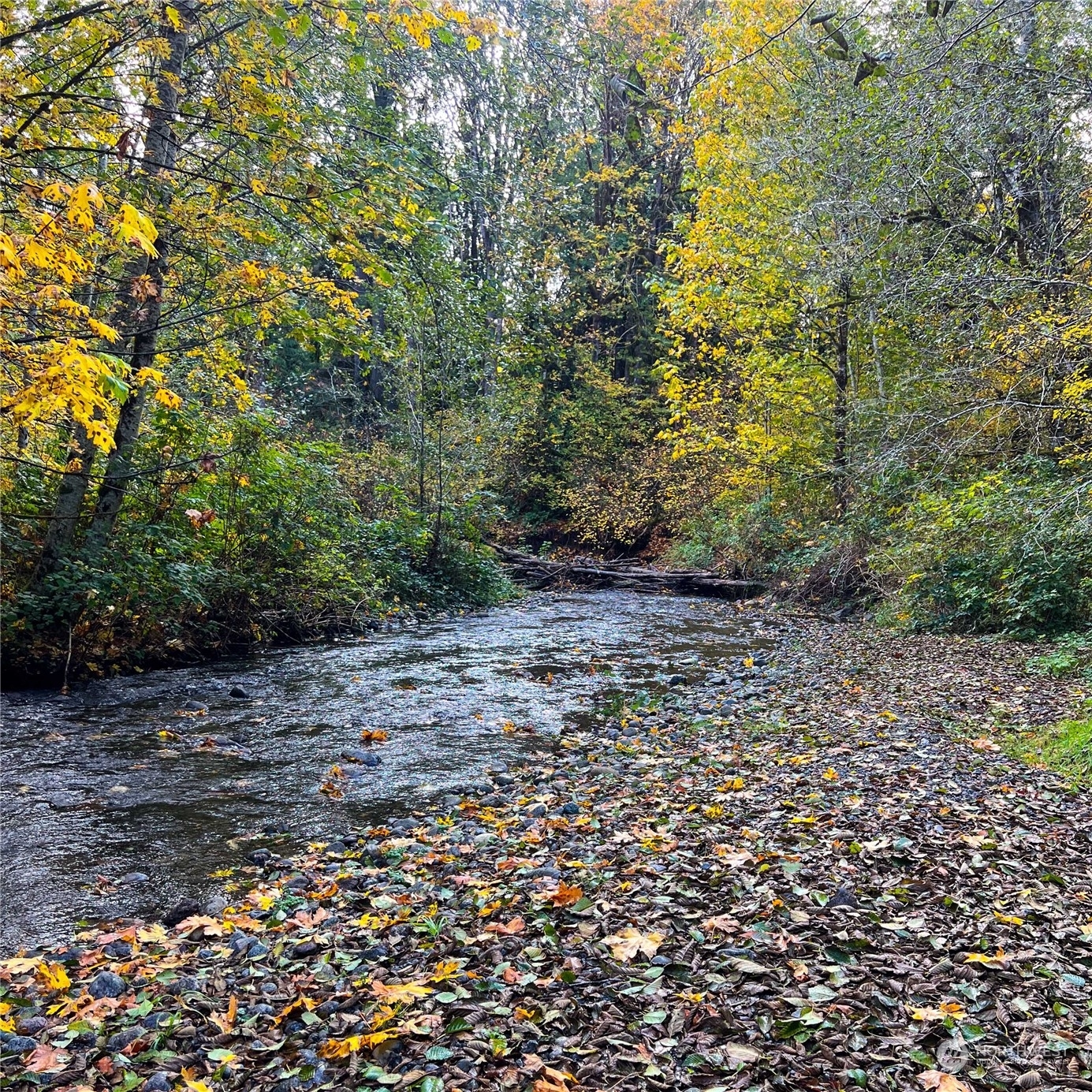 Property Photo:  0  Wildwood Road  WA 98376 