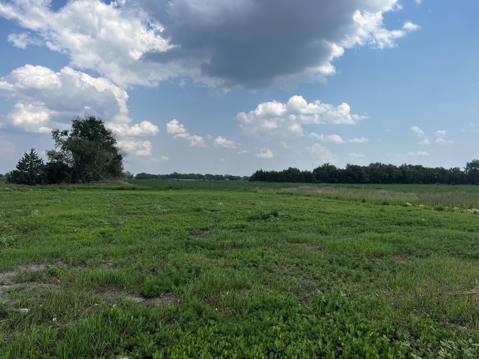 Property Photo: 1123 S Montrose St SD 57401