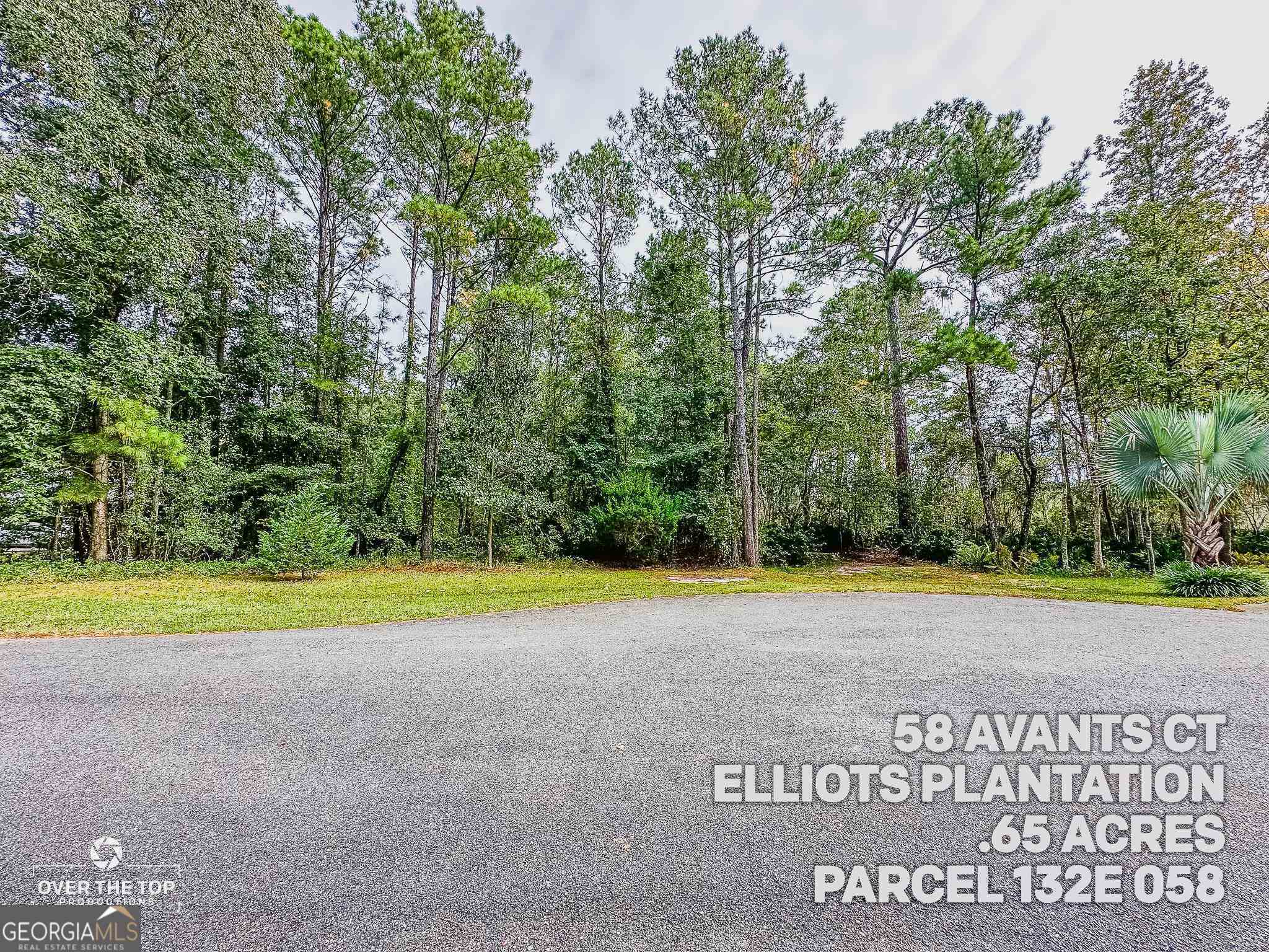 Property Photo: 58 Avants Court GA 31558