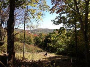 Property Photo:  191 Nc 9376 15 Acres  AR 72854 