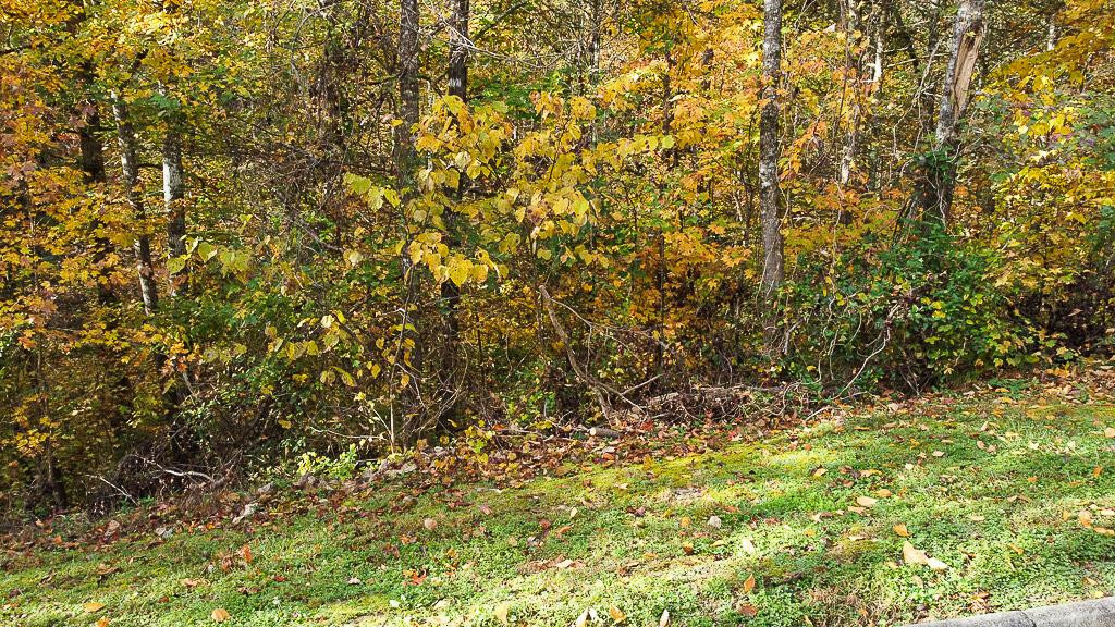 Property Photo:  Lot 85 Smoky Cove Road  TN 37876 