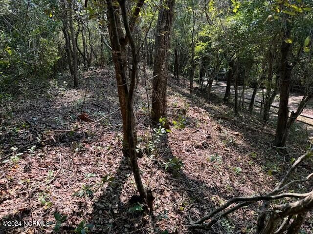 Property Photo: Lot 9-R West Ridge NC 28445