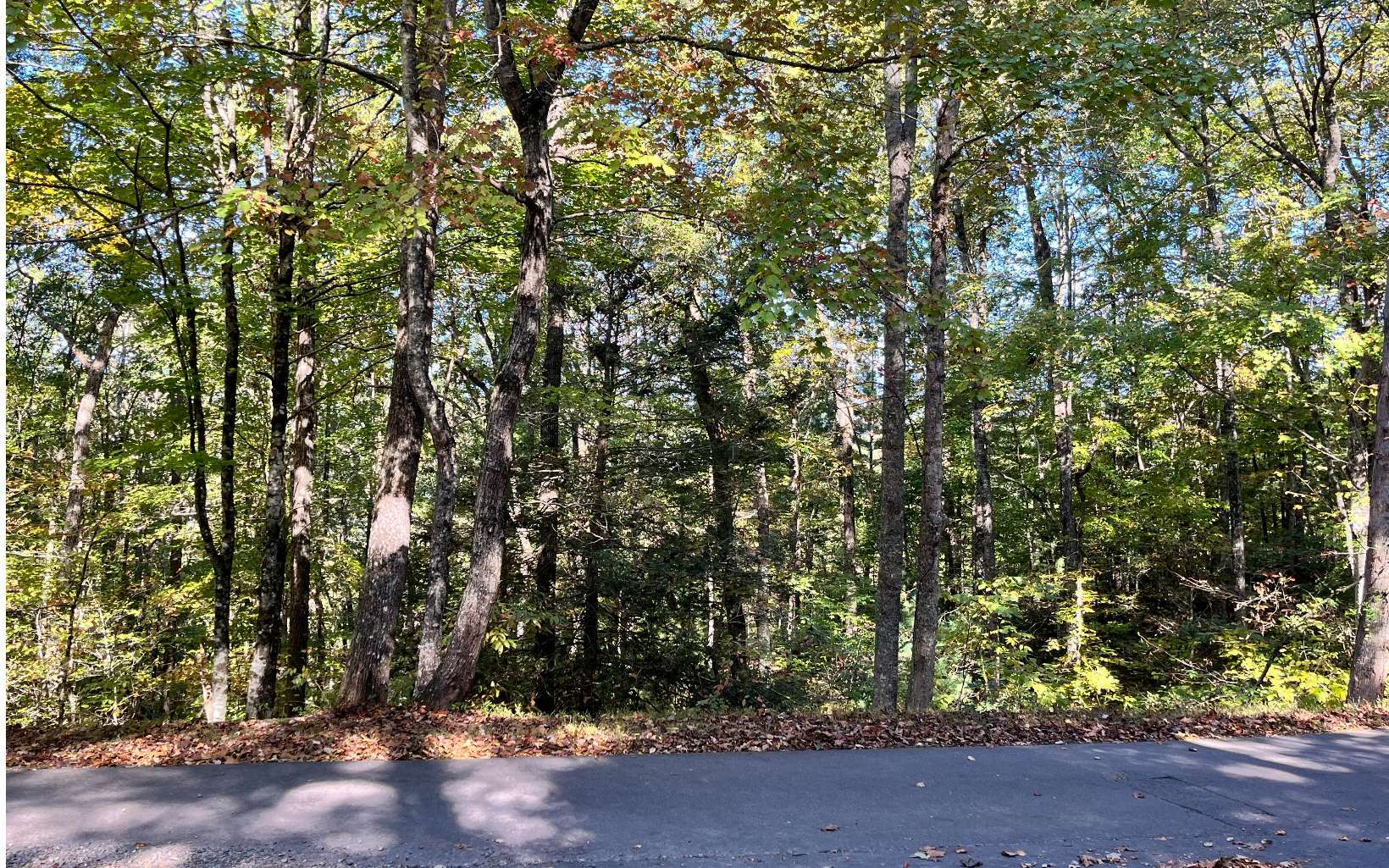 Property Photo:  00 Big Rock Trail  NC 28906 