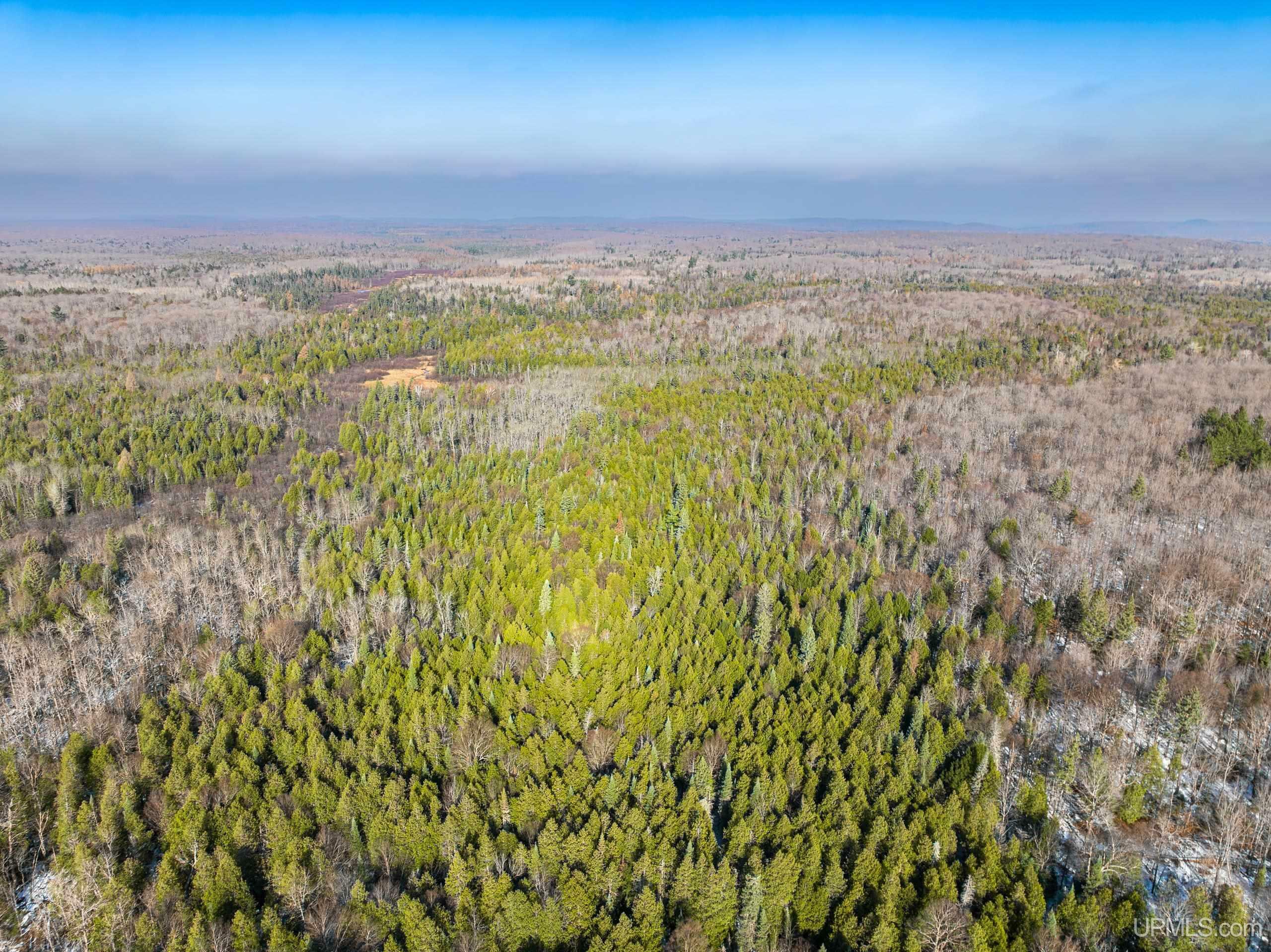 Property Photo:  Off Forest Road 8183  MI 49947 