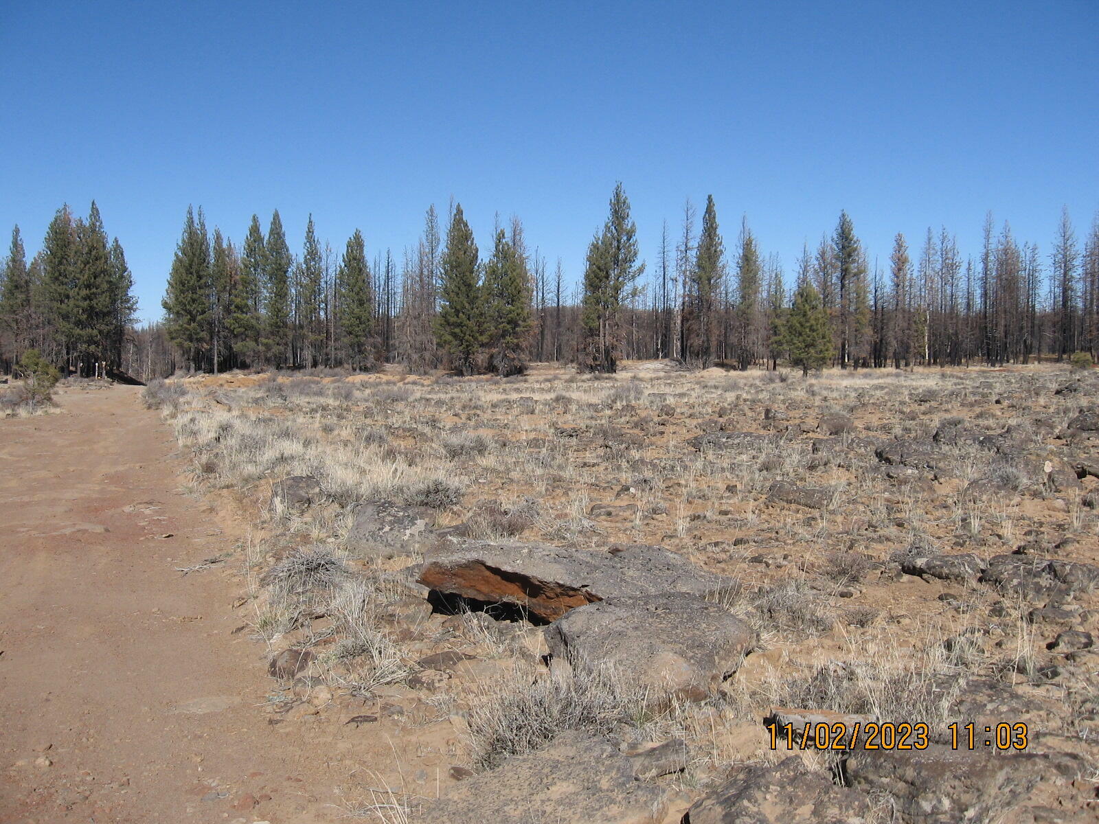 Property Photo:  Lot 16N Shasta Fir Way  OR 97622 