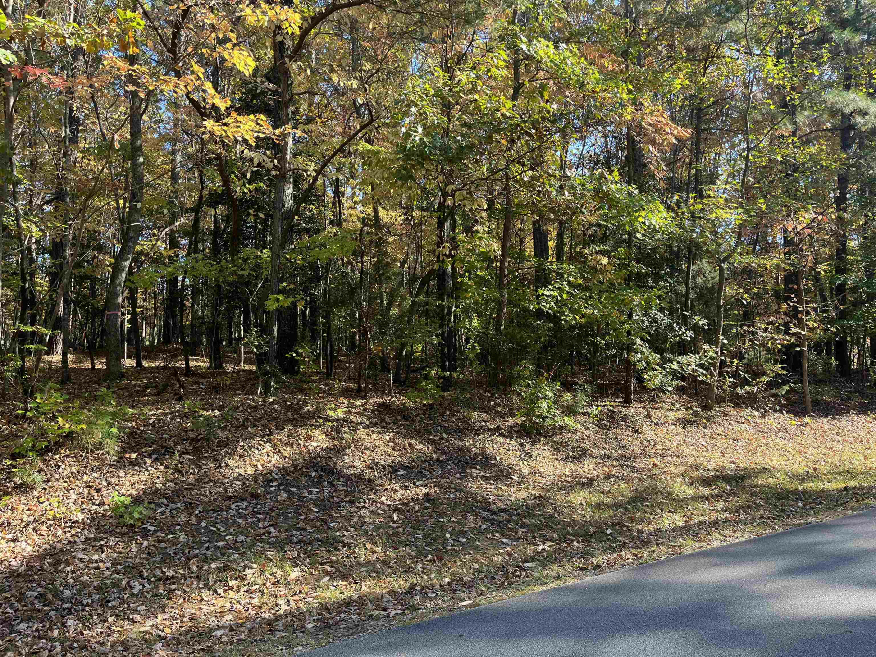 Property Photo: 1144 Sagamore Drive NC 27549