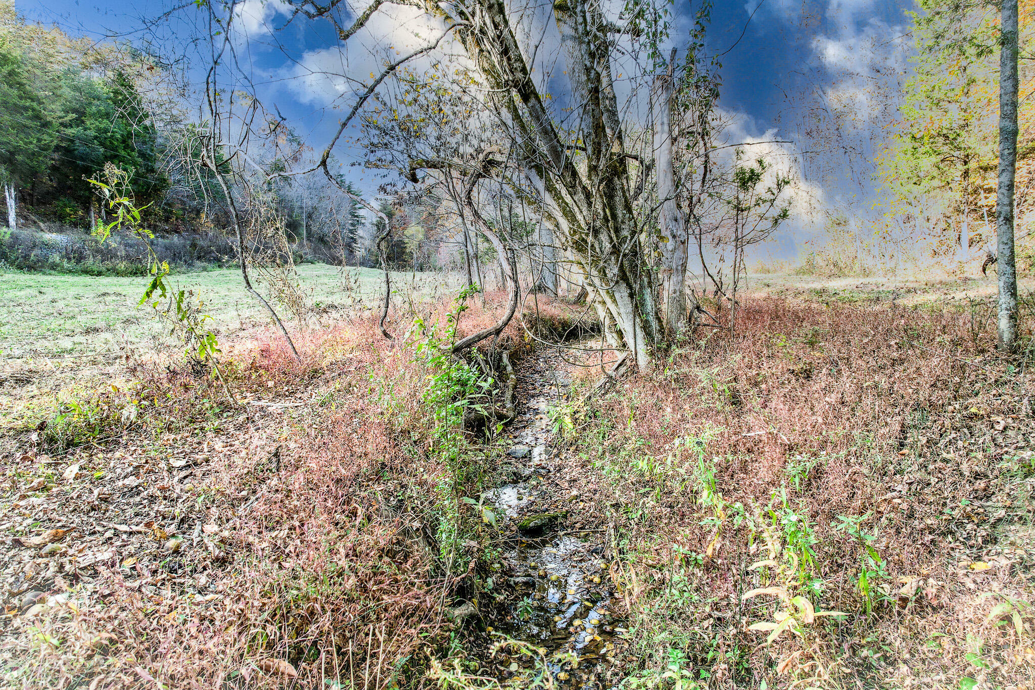 Property Photo:  35 Ac Payne Hollow Rd  TN 37745 