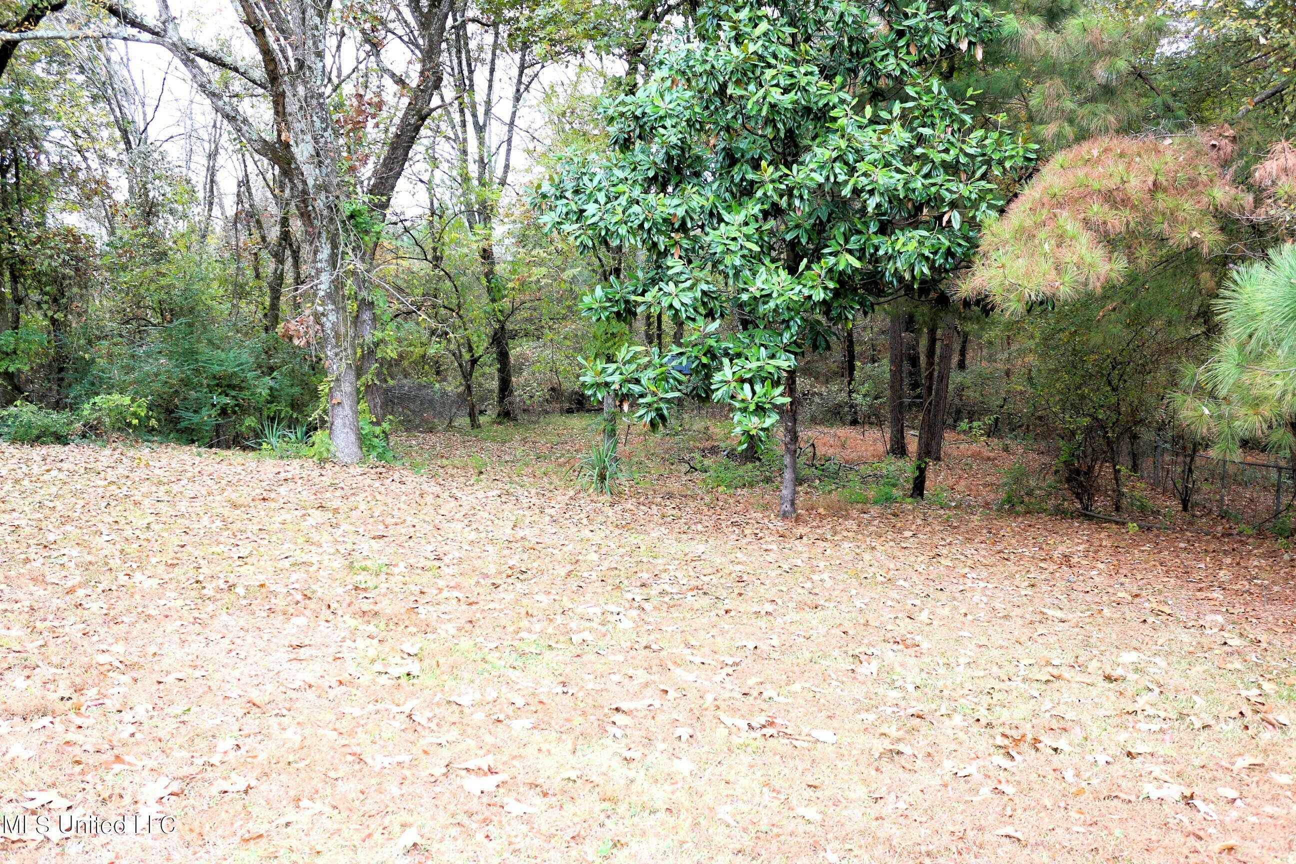 Property Photo: 678 W Lake Drive MS 38635