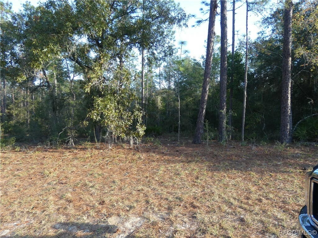 Property Photo:  Lot 31 SW 93rd Lane Road  FL 34431 