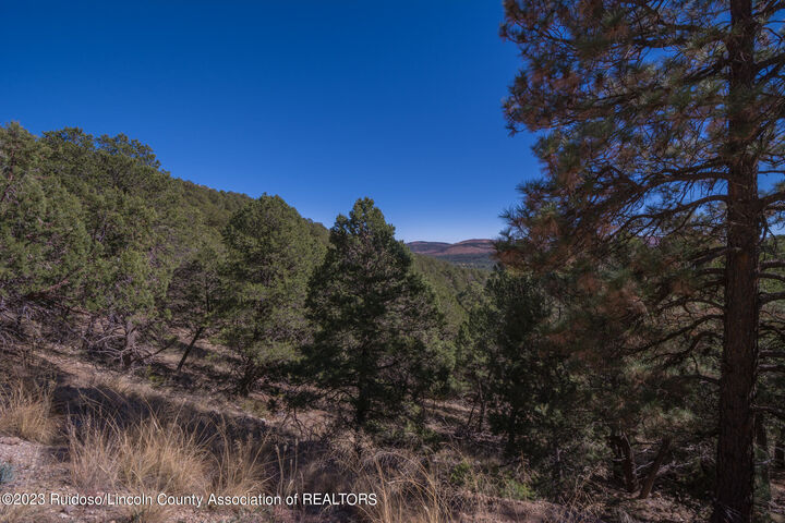 Lot 12 Flute Player Way  Alto NM 88312 photo