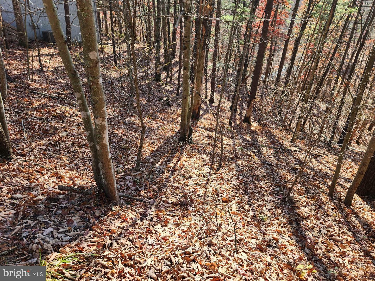 Property Photo:  Braggs Cove Rd. Road  VA 22810 