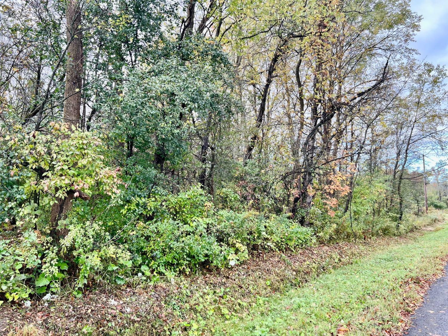 Property Photo:  0 W Enfield Center Road  NY 14850 