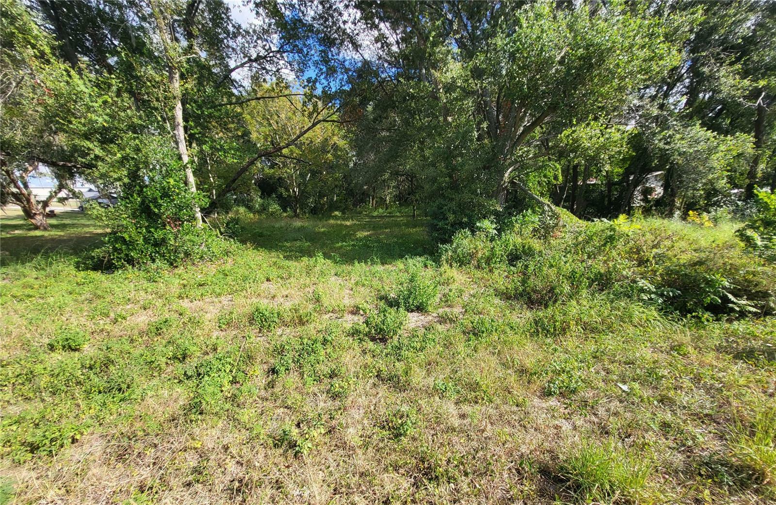 Property Photo:  Thomas Avenue  FL 34748 