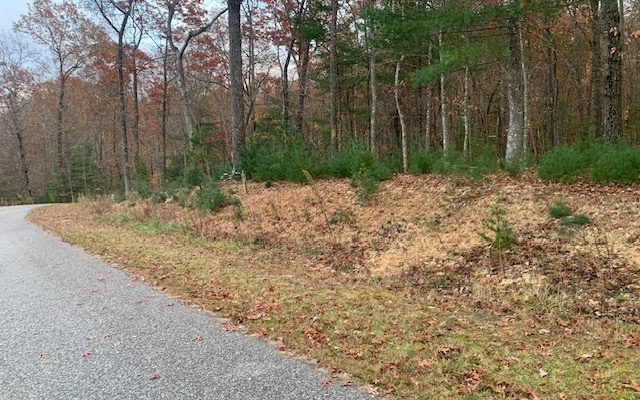 Property Photo:  Lot 4 Courtney Lane  GA 30512 