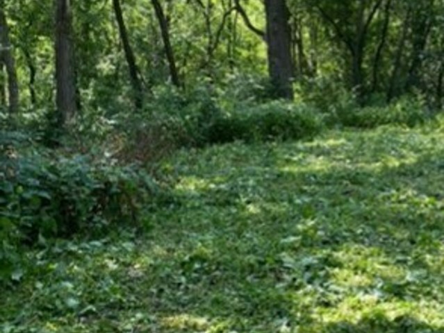 Property Photo:  Lot 19 Fair Lane  IL 60142 