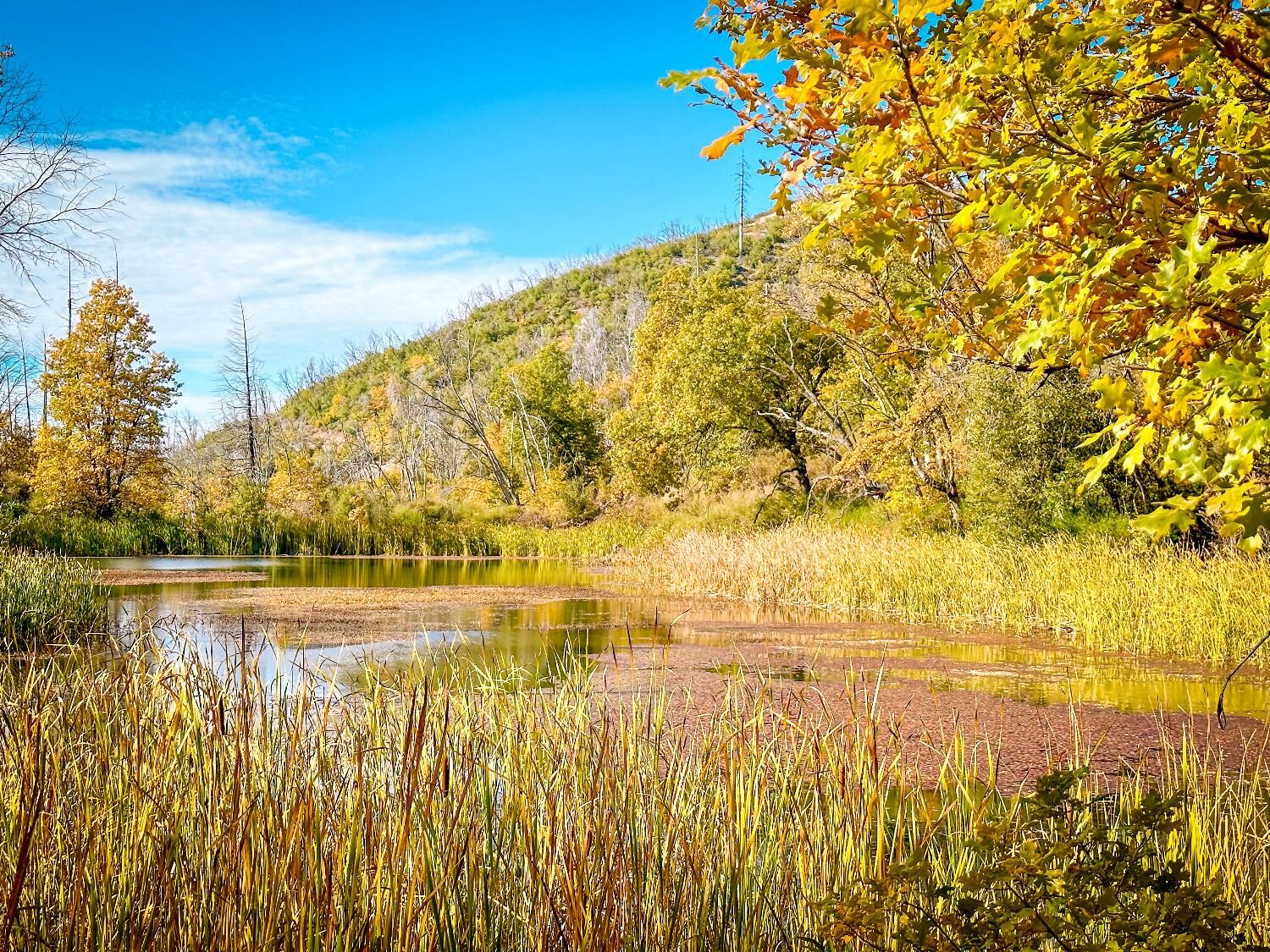 Property Photo:  0 Avenue A  CA 95246 