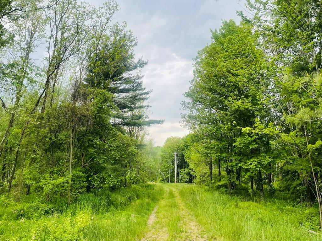 Property Photo:  5.41 Ac Kerrick Hill Road  PA 18848 