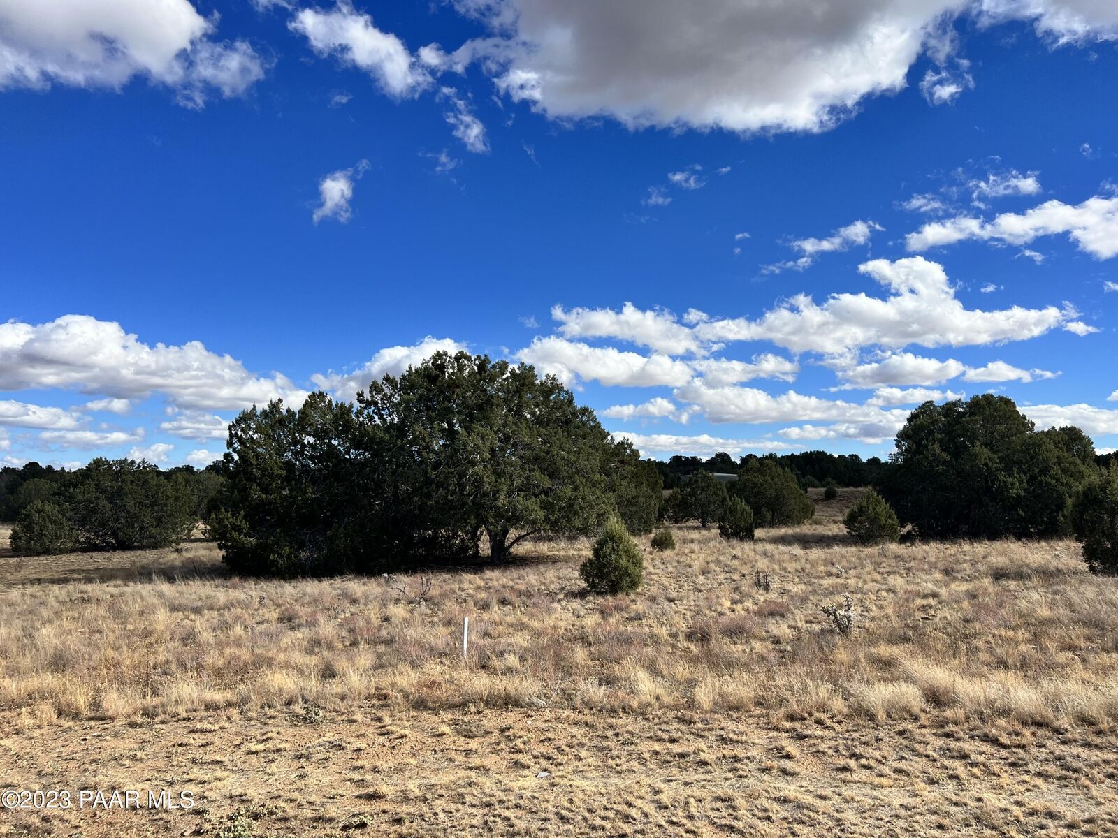 Property Photo: 15415 N Heatherbrae Drive AZ 86305