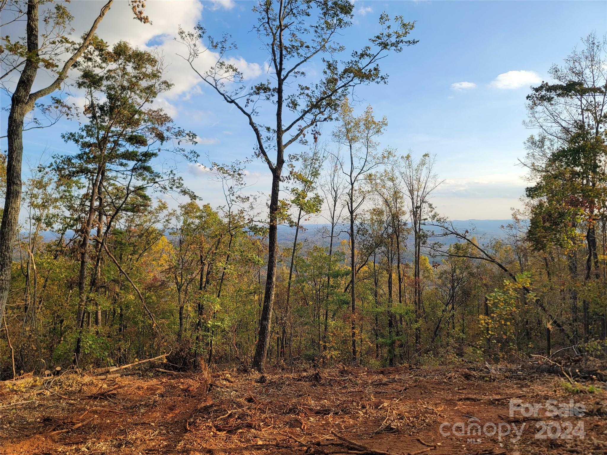 Property Photo:  0 S Tranquility Trail 47  NC 28167 