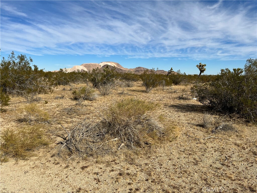 Property Photo: 57 Fickett Ave & 57th W CA 93536