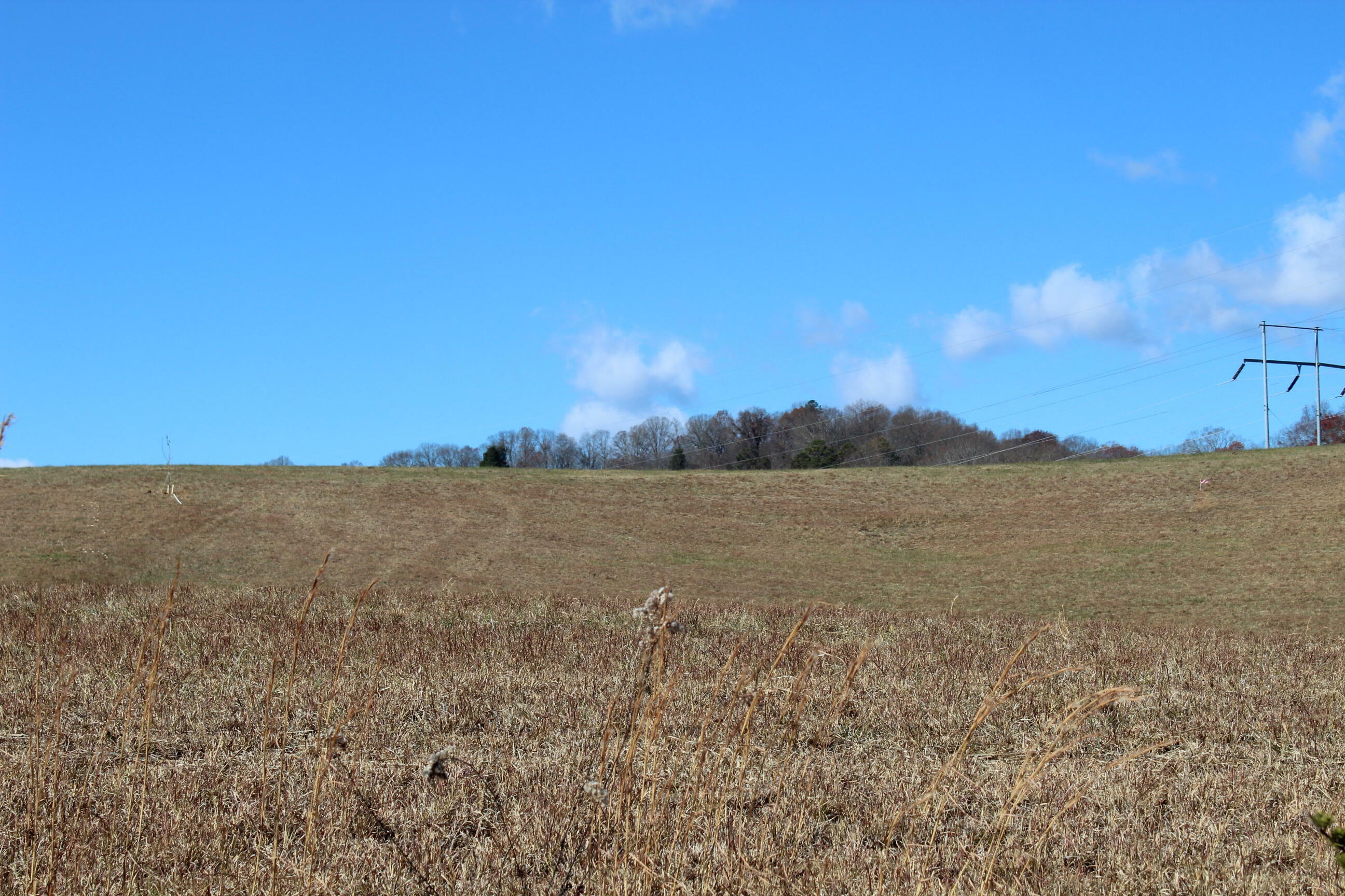 Property Photo:  Lot 26 Austin Mill Road Road  TN 37857 