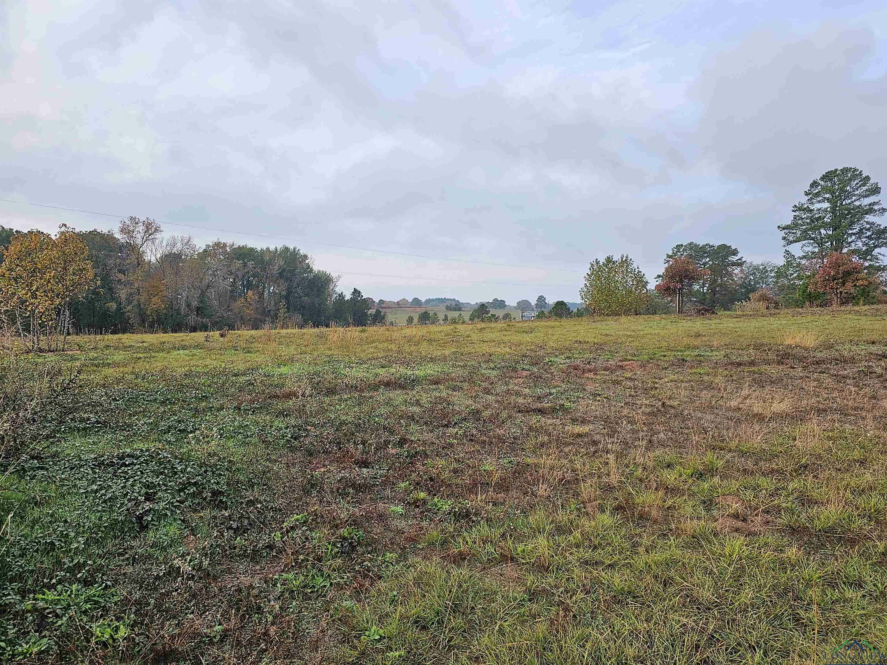 Property Photo:  Tbd Cr 387 D Lot 3 Block 3 Conifer Lane  TX 75654 