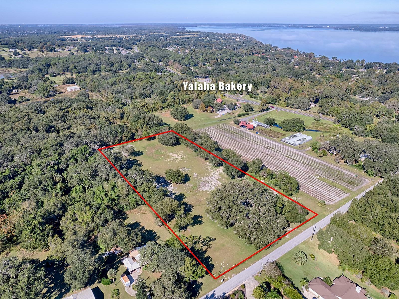 Property Photo:  Bloomfield Avenue  FL 34797 