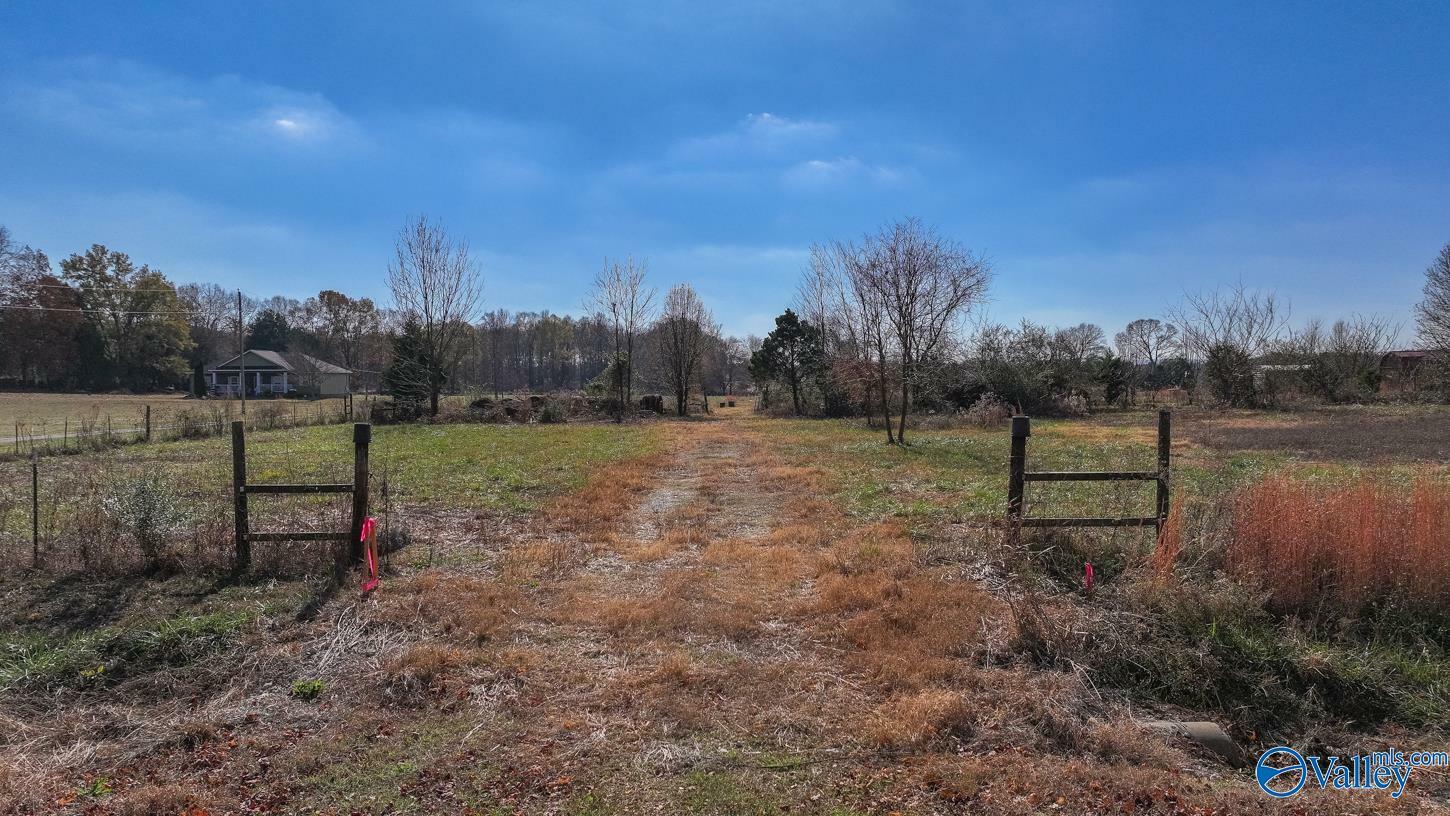 Property Photo:  Tract 2 Coleman Road  AL 35761 