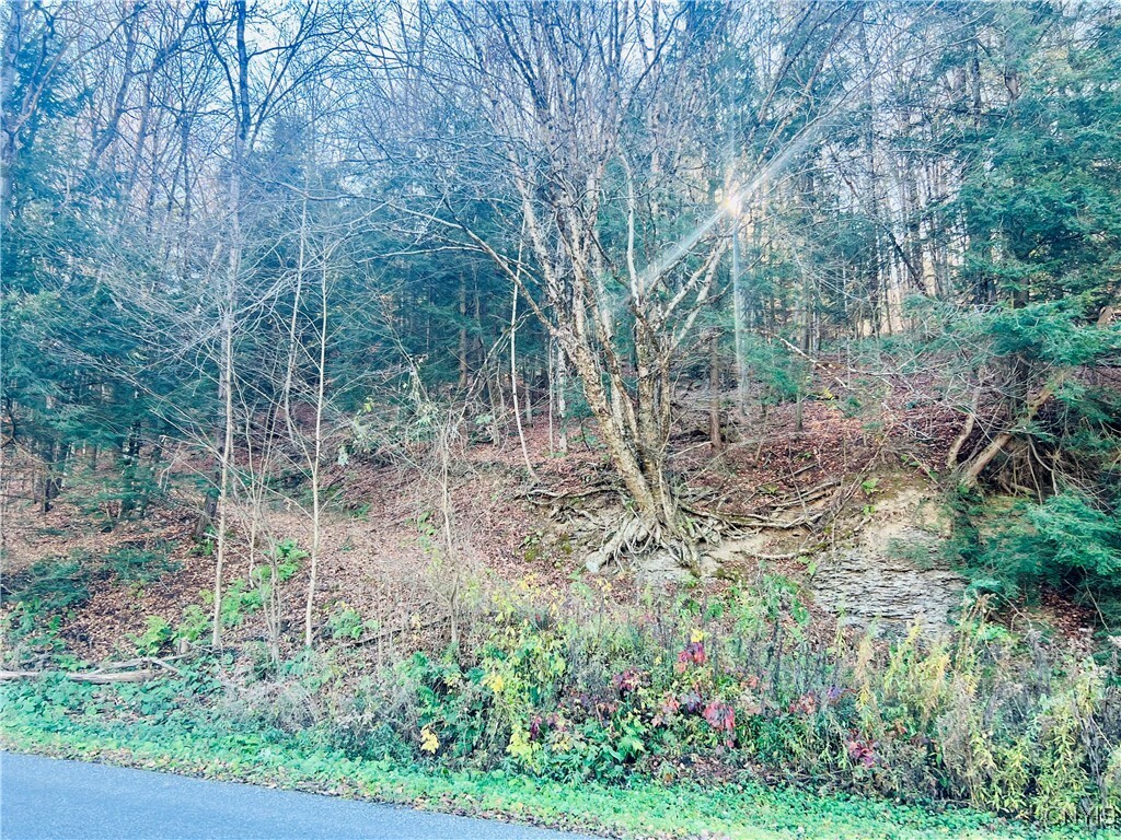 Property Photo:  0 W Cheningo Road Road  NY 13158 